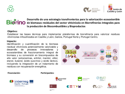 Desarrollo de una estrategia transfronteriza para la valorización ecosostenible de biomasas residuales del sector vitivinícola en Biorrefinerías Integrales para la producción de Biocombustibles y Bioproductos (Biovino)